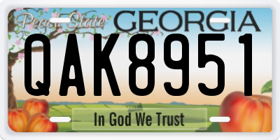 GA license plate QAK8951