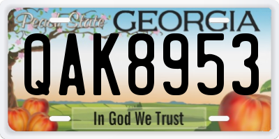 GA license plate QAK8953