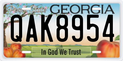 GA license plate QAK8954