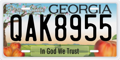 GA license plate QAK8955