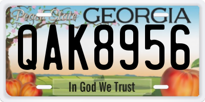 GA license plate QAK8956