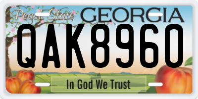 GA license plate QAK8960