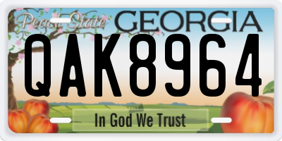 GA license plate QAK8964