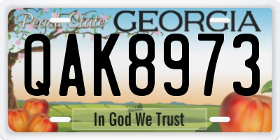 GA license plate QAK8973