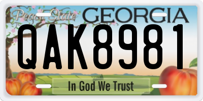 GA license plate QAK8981