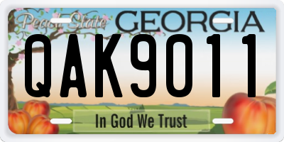 GA license plate QAK9011
