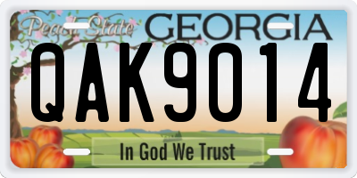 GA license plate QAK9014