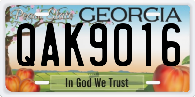 GA license plate QAK9016