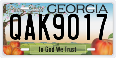 GA license plate QAK9017