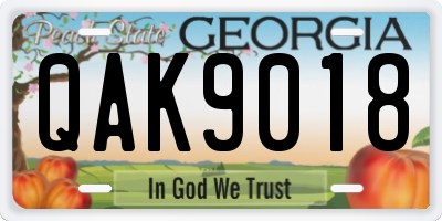 GA license plate QAK9018