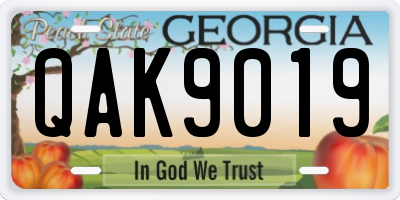 GA license plate QAK9019