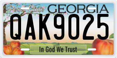 GA license plate QAK9025
