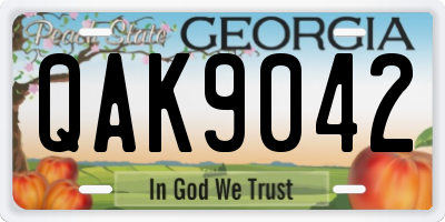 GA license plate QAK9042