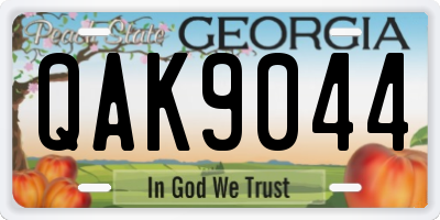 GA license plate QAK9044