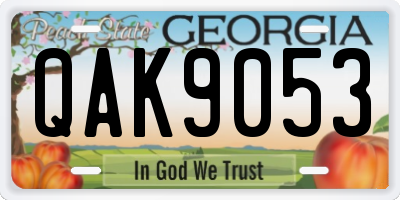 GA license plate QAK9053