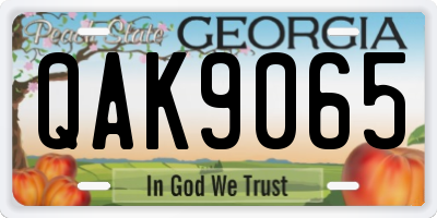 GA license plate QAK9065