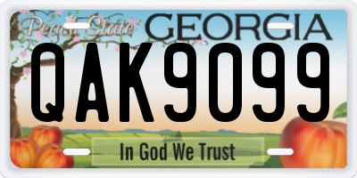 GA license plate QAK9099