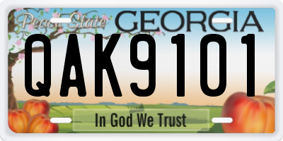 GA license plate QAK9101