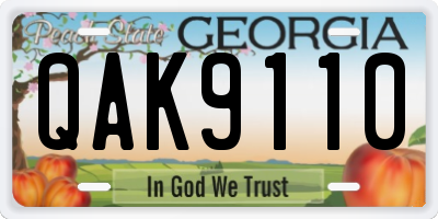 GA license plate QAK9110