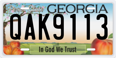 GA license plate QAK9113