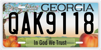 GA license plate QAK9118