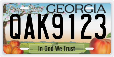 GA license plate QAK9123