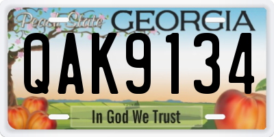 GA license plate QAK9134