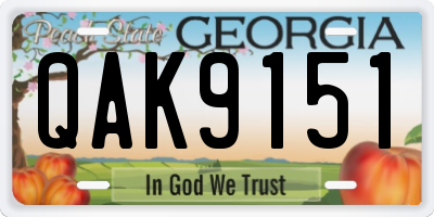 GA license plate QAK9151