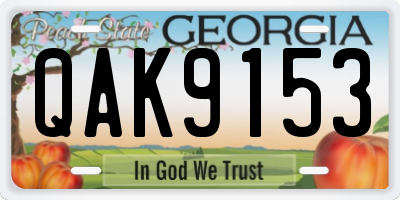 GA license plate QAK9153