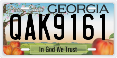 GA license plate QAK9161