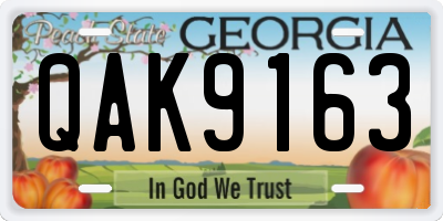 GA license plate QAK9163