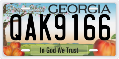 GA license plate QAK9166