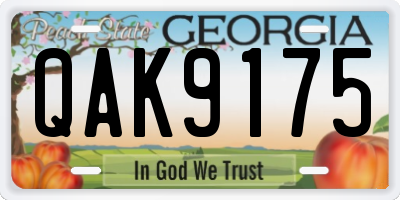 GA license plate QAK9175