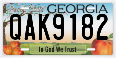 GA license plate QAK9182