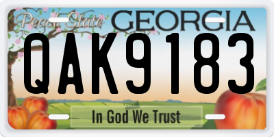 GA license plate QAK9183