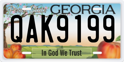 GA license plate QAK9199