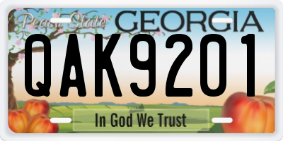 GA license plate QAK9201