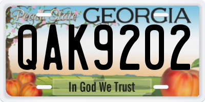 GA license plate QAK9202