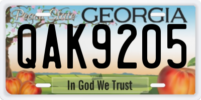 GA license plate QAK9205