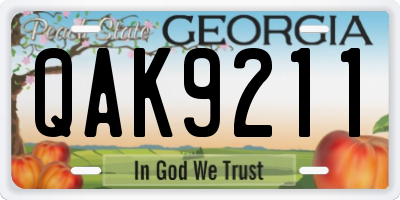 GA license plate QAK9211