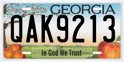 GA license plate QAK9213