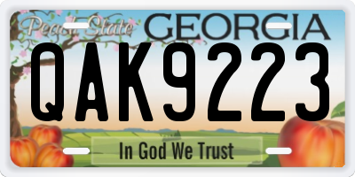 GA license plate QAK9223