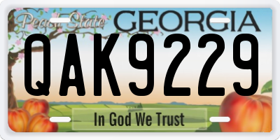 GA license plate QAK9229
