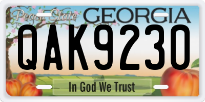 GA license plate QAK9230