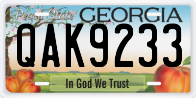 GA license plate QAK9233