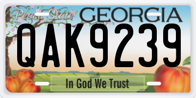 GA license plate QAK9239