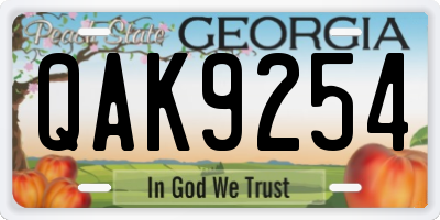 GA license plate QAK9254