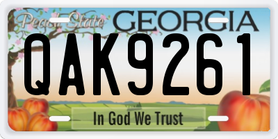 GA license plate QAK9261