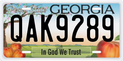 GA license plate QAK9289