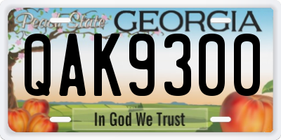 GA license plate QAK9300
